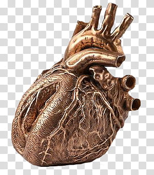 Golden Touch, brown heart art transparent background PNG clipart