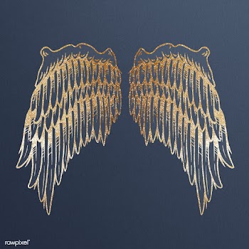 Golden wings sticker overlay design resource  | Free  illustration - 2358529