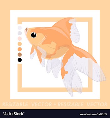 goldfish