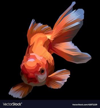 goldfish