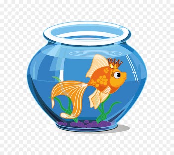 Goldfish Aquarium Drawing Clip art Tropical fish - fish 