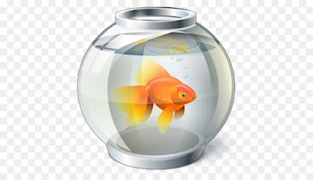 Goldfish Bowl Computer Icons - others 