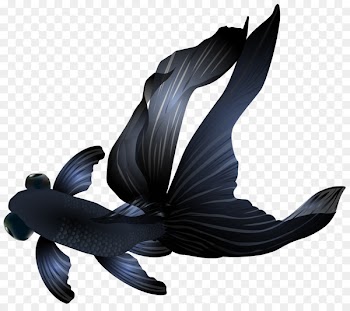 Goldfish - Cartoon aquarium fish 