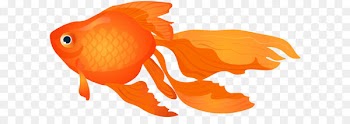 Goldfish Clip art - Goldfish Transparent PNG Clip Art Image 