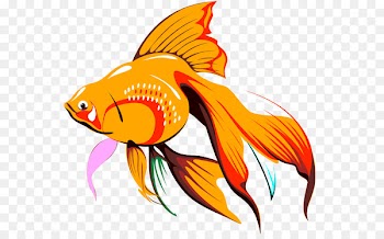 Goldfish Drawing Clip art - fish 