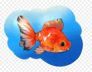 Goldfish Feeder fish Fin Marine biology - pidgeon graphic 