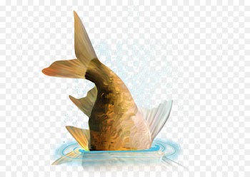 Goldfish - Fish bust 