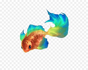 Goldfish Guppy Aquarium Rainbowfish - fish tank 