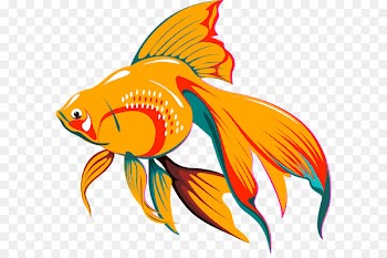 Goldfish Koi Aquarium Clip art - fish 