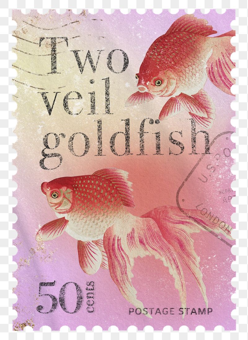 Goldfish png post stamp sticker, | Free PNG - rawpixel
