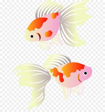 Goldfish Post Cards Koi Illustration Greeting -  