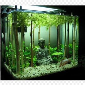 Goldfish Siamese fighting fish Aquariums Aquascaping - aquarium decoration 