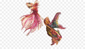 Goldfish Watercolor painting Ink wash painting Illustration - Goldfish oil painting material picture 