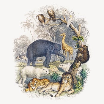 Goldsmith's animated nature collage element, | Free PSD Illustration - rawpixel