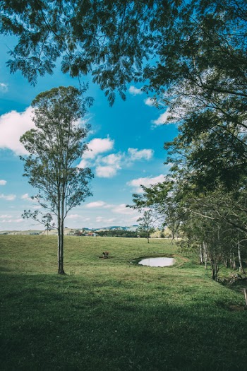 Golf Course Under Clear Blue Sky