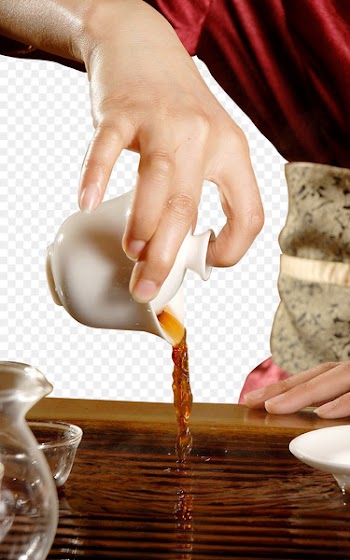 Gongfu tea ceremony Tea culture Teacup - Tea tea 