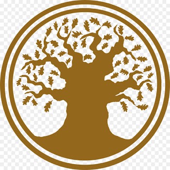 Good manufacturing practice Logo United States - united states 