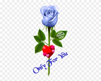 Good Morning Images With Flowers Hd Gif Download - Purple Clip Art Rose