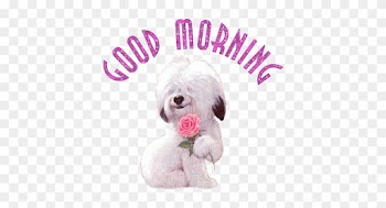 Good Morning Joyous Sunday - Good Morning Cute Rose