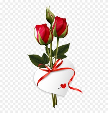 Good Morning Wishes Quotes - Good Morning With Rose