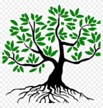 Good Tree ~ شجرة طيبة - Olive Tree Clip Art