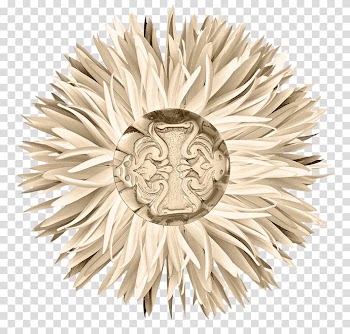 Google Chrysanthemum Icon, Light-colored chrysanthemums transparent background PNG clipart
