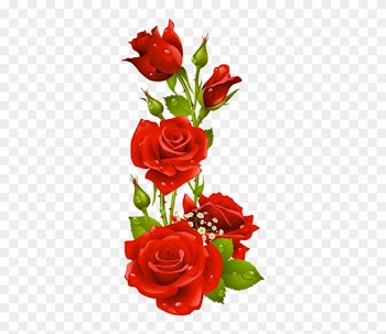 Google Feliz Ano Novo Www - Frame Red Flowers Png