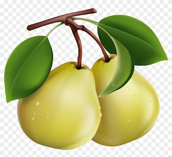 Google Search - Pear Fruit Clip Art