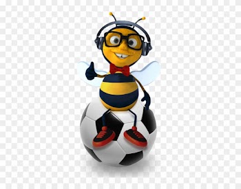 Gooooal Bumblebees Learn To Play Soccer D Brief - Soccer
