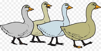 Goose Clip art Duck Cygnini Portable Network Graphics - goose 