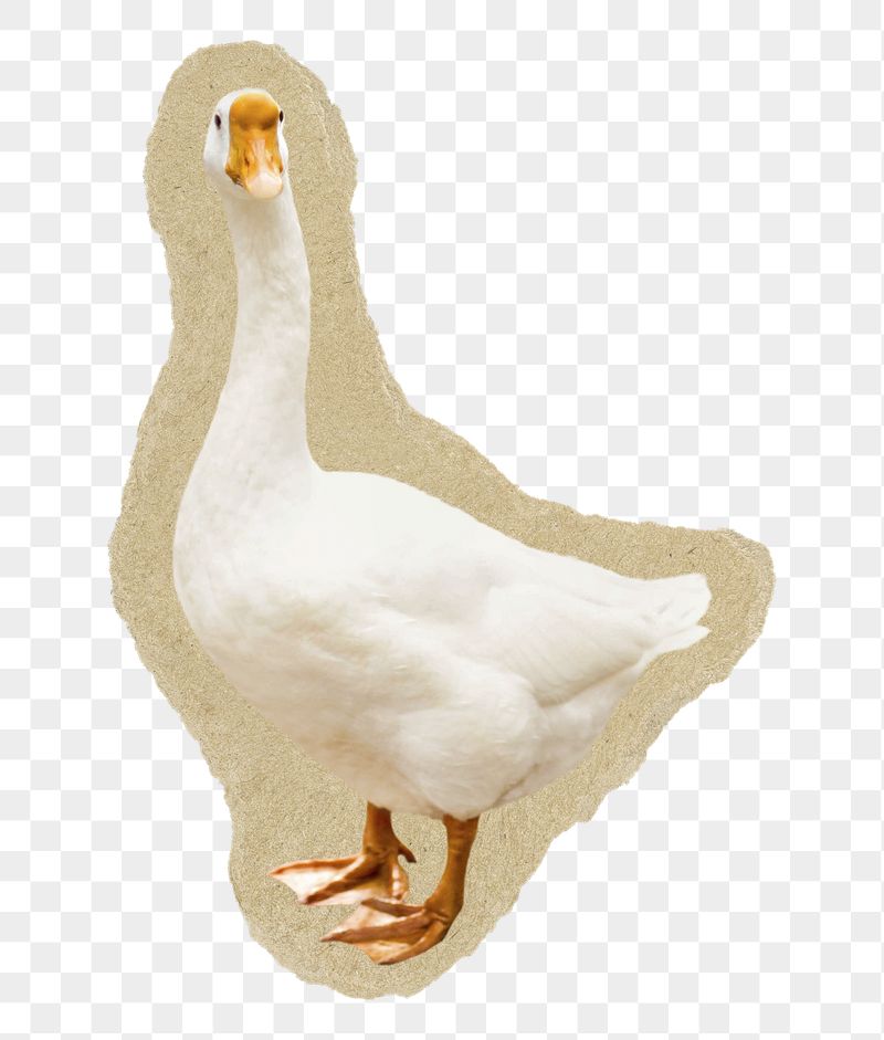 Goose png sticker, torn paper | Free PNG - rawpixel