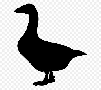 Goose Vector graphics Computer Icons Illustration Bird -  