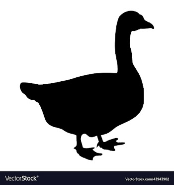goose3