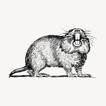Gopher hand drawn clipart, animal | Free Vector - rawpixel
