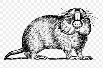 Gopher png clipart, animal hand | Free PNG - rawpixel