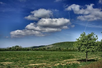 Gordano valley00001.jpg
