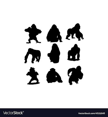 gorilla animal set silhouette collection creative