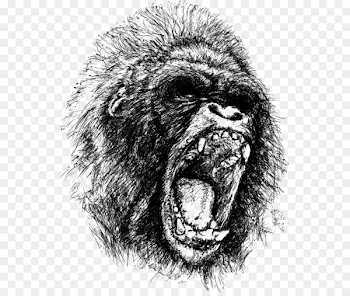 Gorilla Ape King Kong Drawing Anger - Gorilla sketch vector 