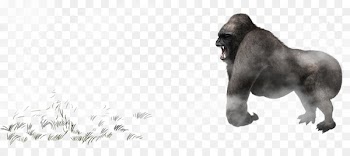 Gorilla Common chimpanzee Icon - King Kong 