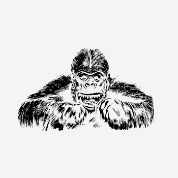 Gorilla drawing clipart, vintage animal, | Free Photo - rawpixel