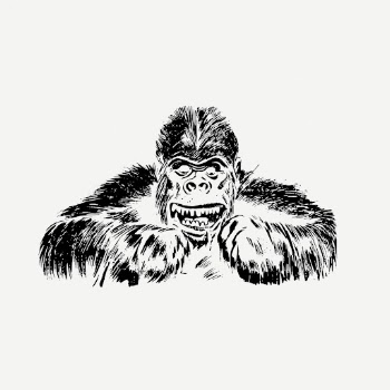 Gorilla drawing clipart, vintage animal, | Free PSD - rawpixel