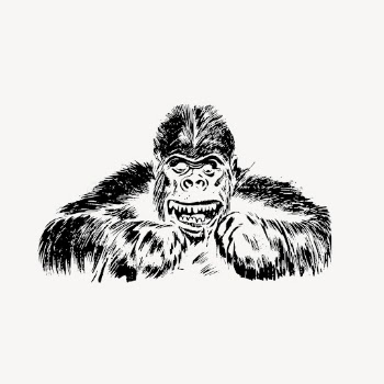 Gorilla drawing clipart, vintage animal, | Free Vector - rawpixel