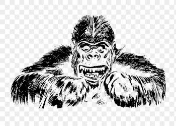 Gorilla drawing png clipart, vintage | Free PNG - rawpixel