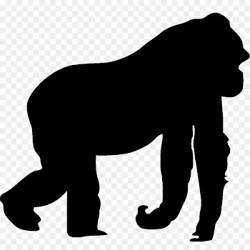 Gorilla Killing of Harambe Car Animal Cat -  