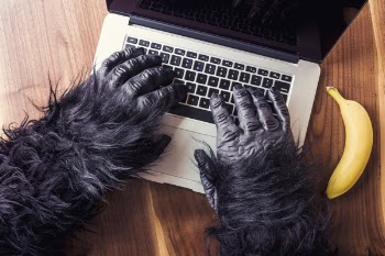 Gorilla on Computer Free Photo 