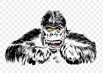 Gorilla png clipart, vintage animal, | Free PNG - rawpixel