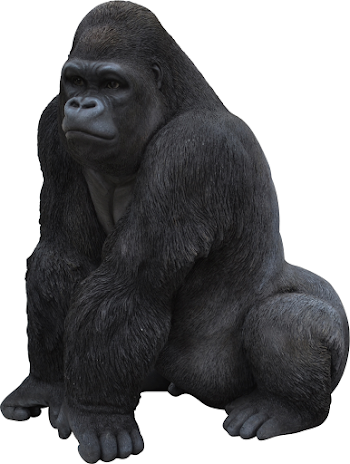 Gorilla PNG Transparent #37857 - Free Icons and PNG Backgrounds
