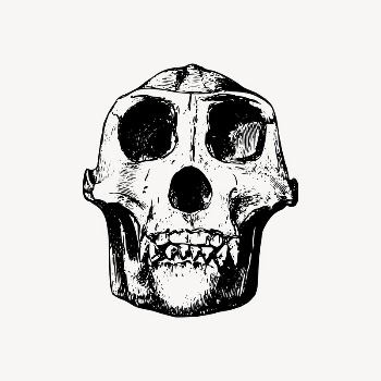 Gorilla skull clipart, dead animal | Free Vector Illustration - rawpixel