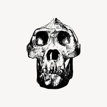 Gorilla skull clipart, dead animal | Free Vector Illustration - rawpixel