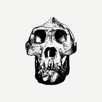 Gorilla skull collage element, dead | Free PSD Illustration - rawpixel
